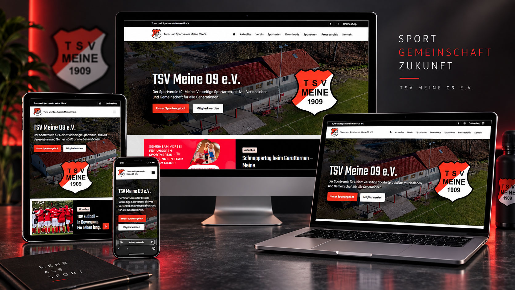 Website-Vorschau TSV Meine 09 e.V.